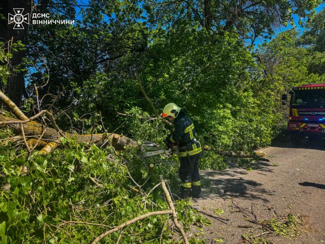 Новини Вінниці - фото з Через негоду на Вінниччині падали дерева та блокували траси