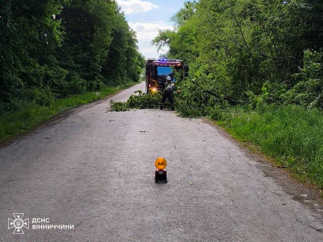 Новини Вінниці - фото з Через негоду на Вінниччині падали дерева та блокували траси