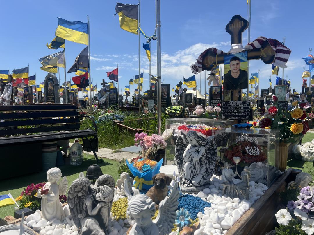 Новини Вінниці - фото з Майорять сотні стягів: який вигляд має Алея Героїв на Сабарівському цвинтарі