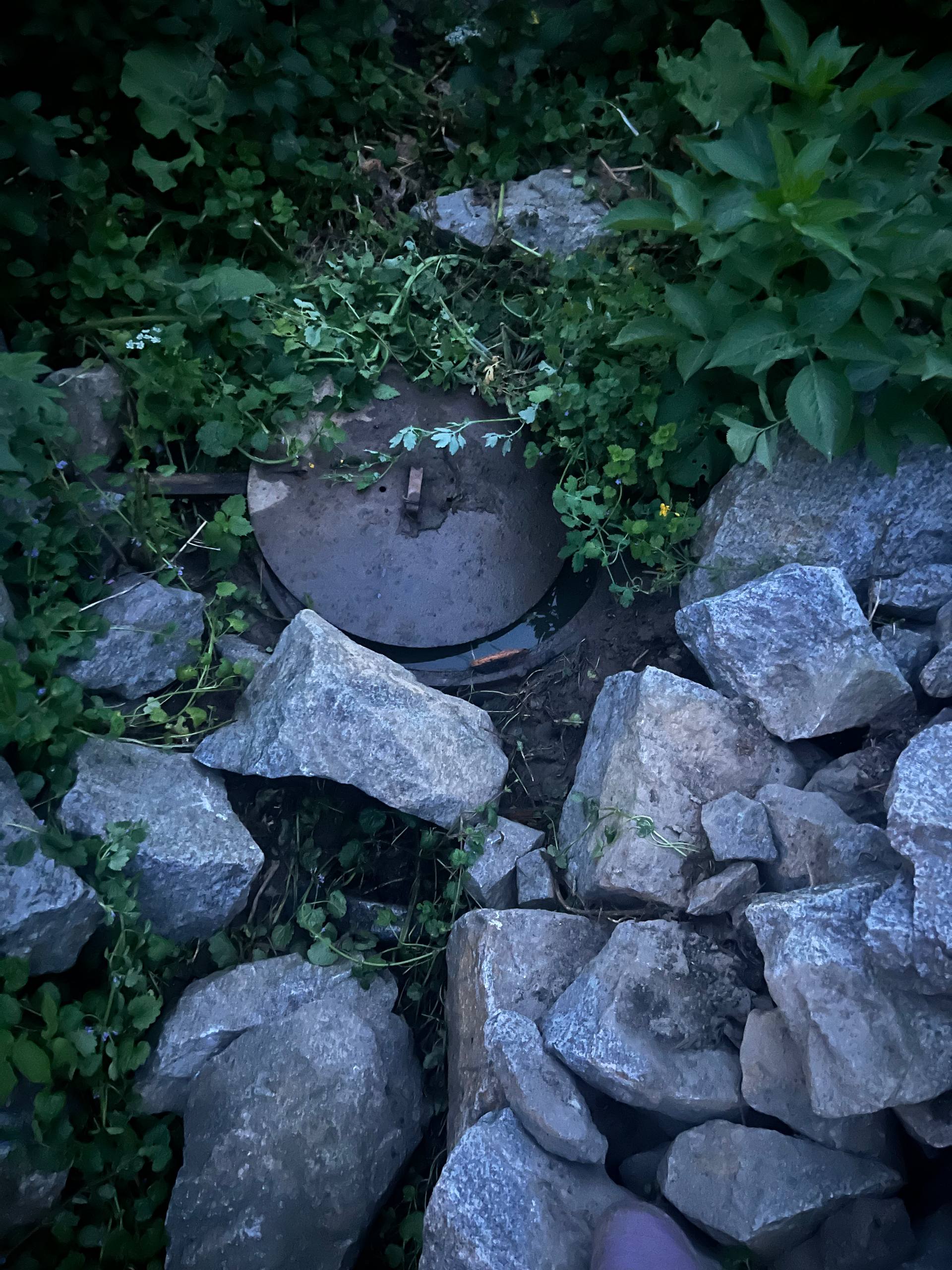 Новини Вінниці - фото з «Каналізаційні відходи течуть по подвір’ю»: чому в Агрономічному вже кілька днів проблеми з водою?