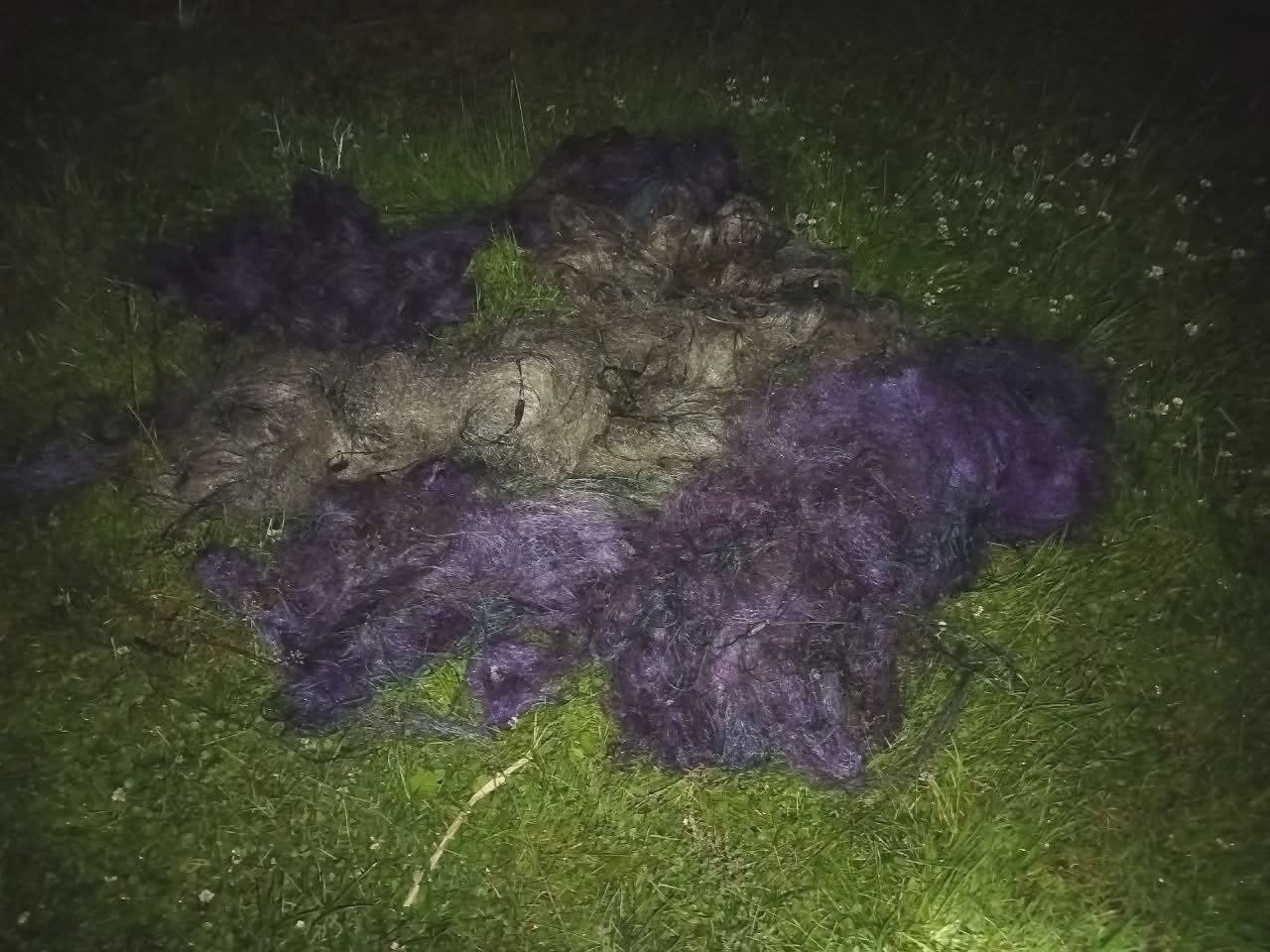 Новини Житомира - фото з На Іршанському водосховищі виявлено грубе порушення правил рибальства
