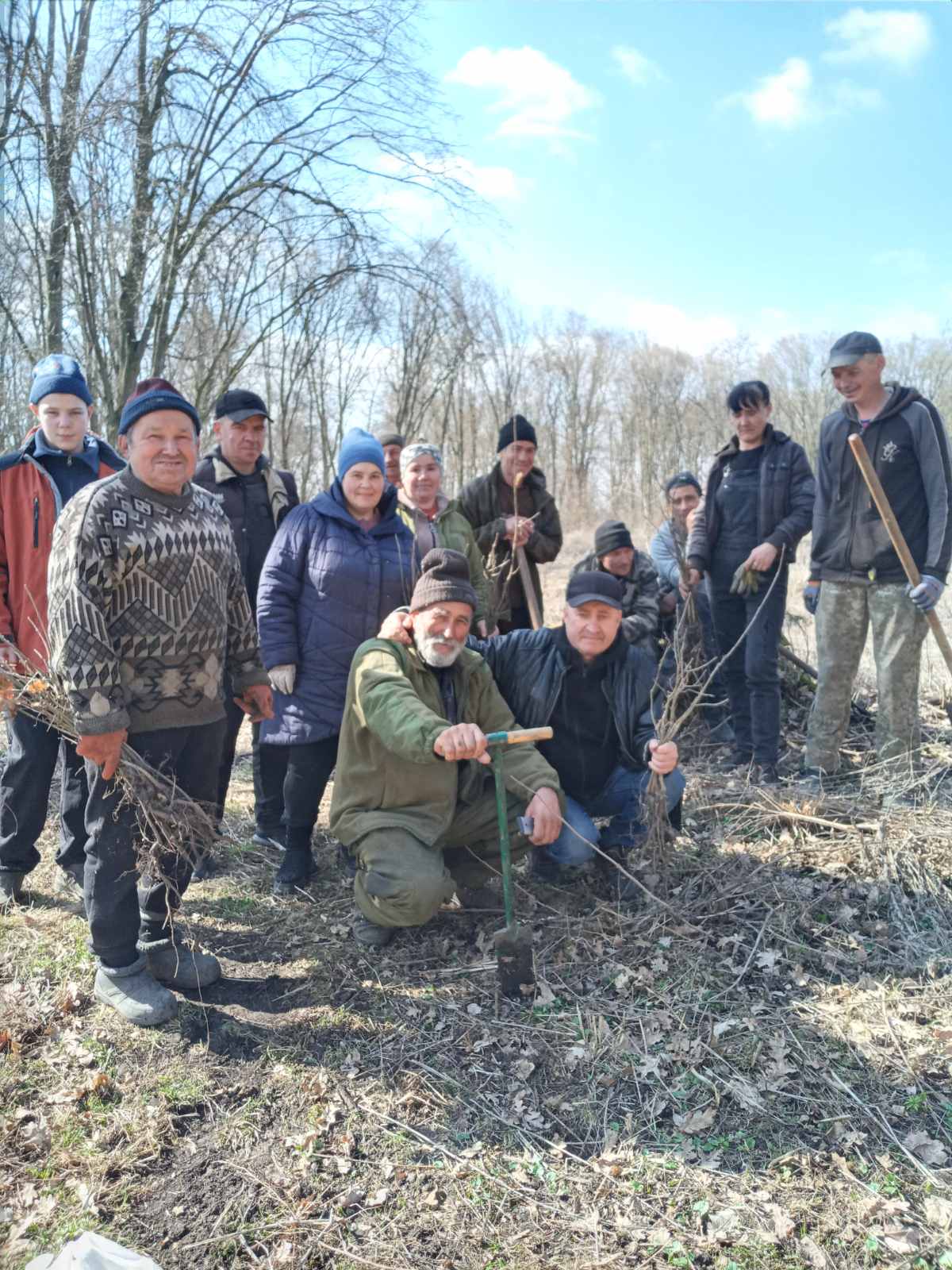 Новини Козятина - фото з Все робили, як у лісорубному квитку та щось пішло не так і зрізали красеня дуба