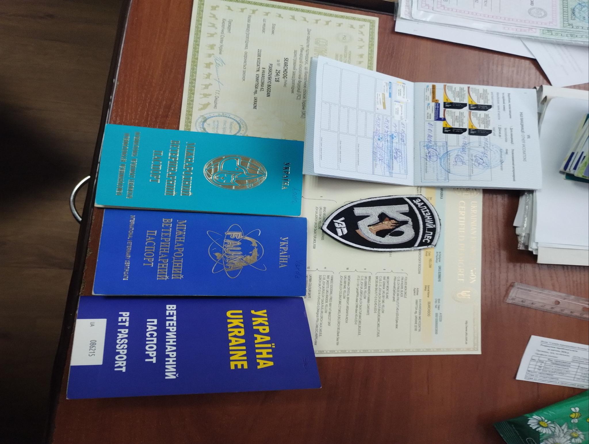 Новини Козятина - фото з Козятинські «залізні пси» охороняють вокзали України: репортаж з розплідника