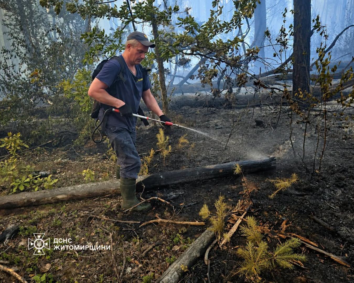 Новини Житомира - фото з У Коростенському районі триває ліквідація лісової пожежі