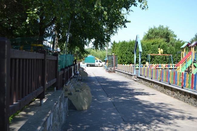 Новини Вінниці - фото з Свіжа вода, затінок і вечірні прогулянки. Як тварини Подільського зоопарку переживають аномальну спеку