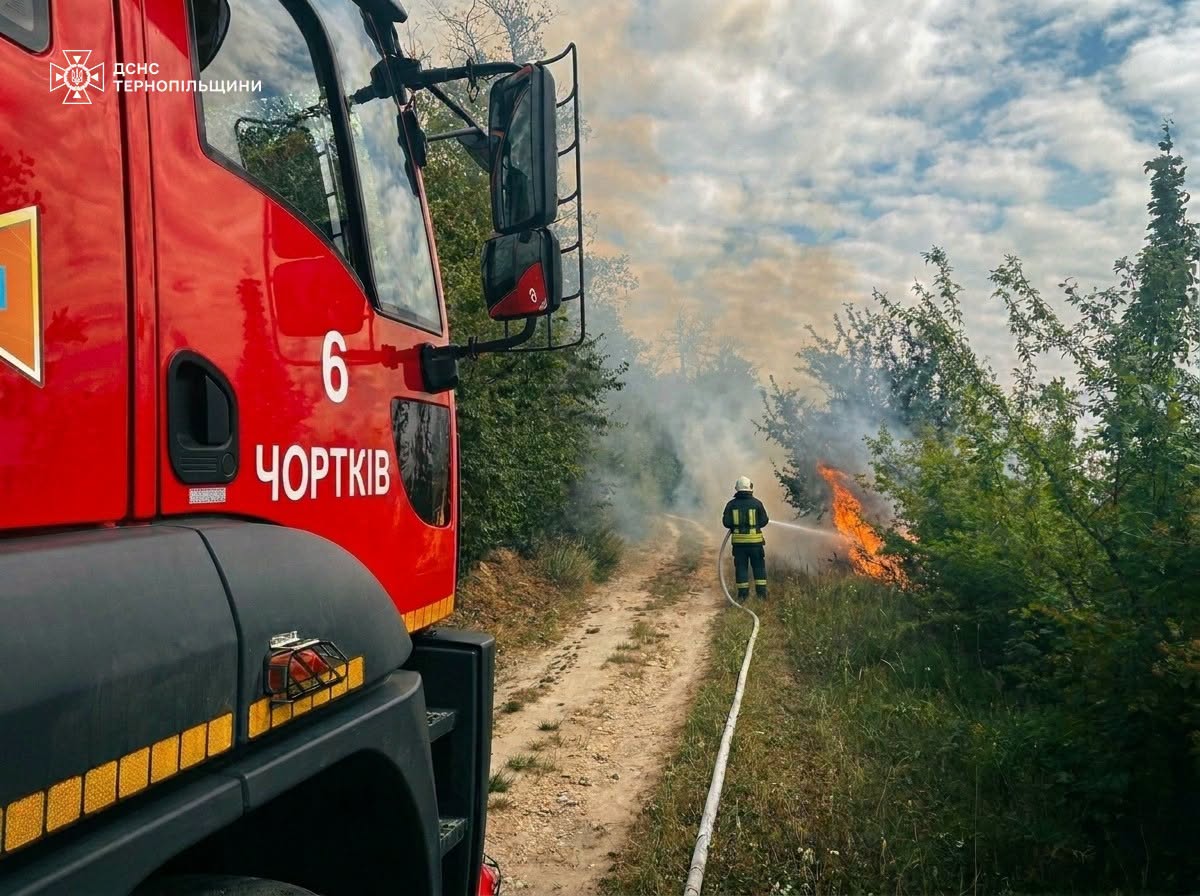 Вісім пожеж за добу: на Тернопільщині найчастіше горіла суха трава