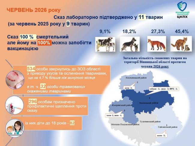 Новини Вінниці - фото з На Вінниччині підтвердили 83 випадки сказу серед тварин. Як уберегтися від смертельної хвороби