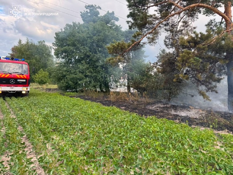 Новини Житомира - фото з На Житомирщині за добу рятувальники ліквідували 4 пожежі в екосистемах