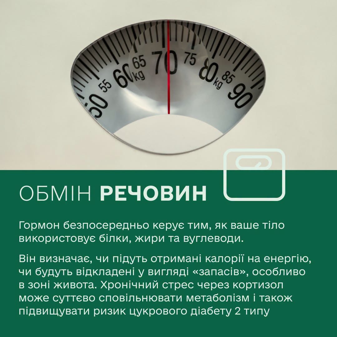 Новини Житомира - фото з Вплив Кортизолу на організм: які ризики допоможе виявити Скринінг здоров’я 40+