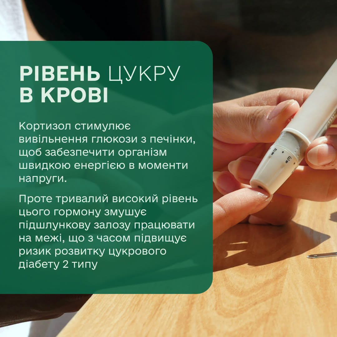 Новини Житомира - фото з Вплив Кортизолу на організм: які ризики допоможе виявити Скринінг здоров’я 40+