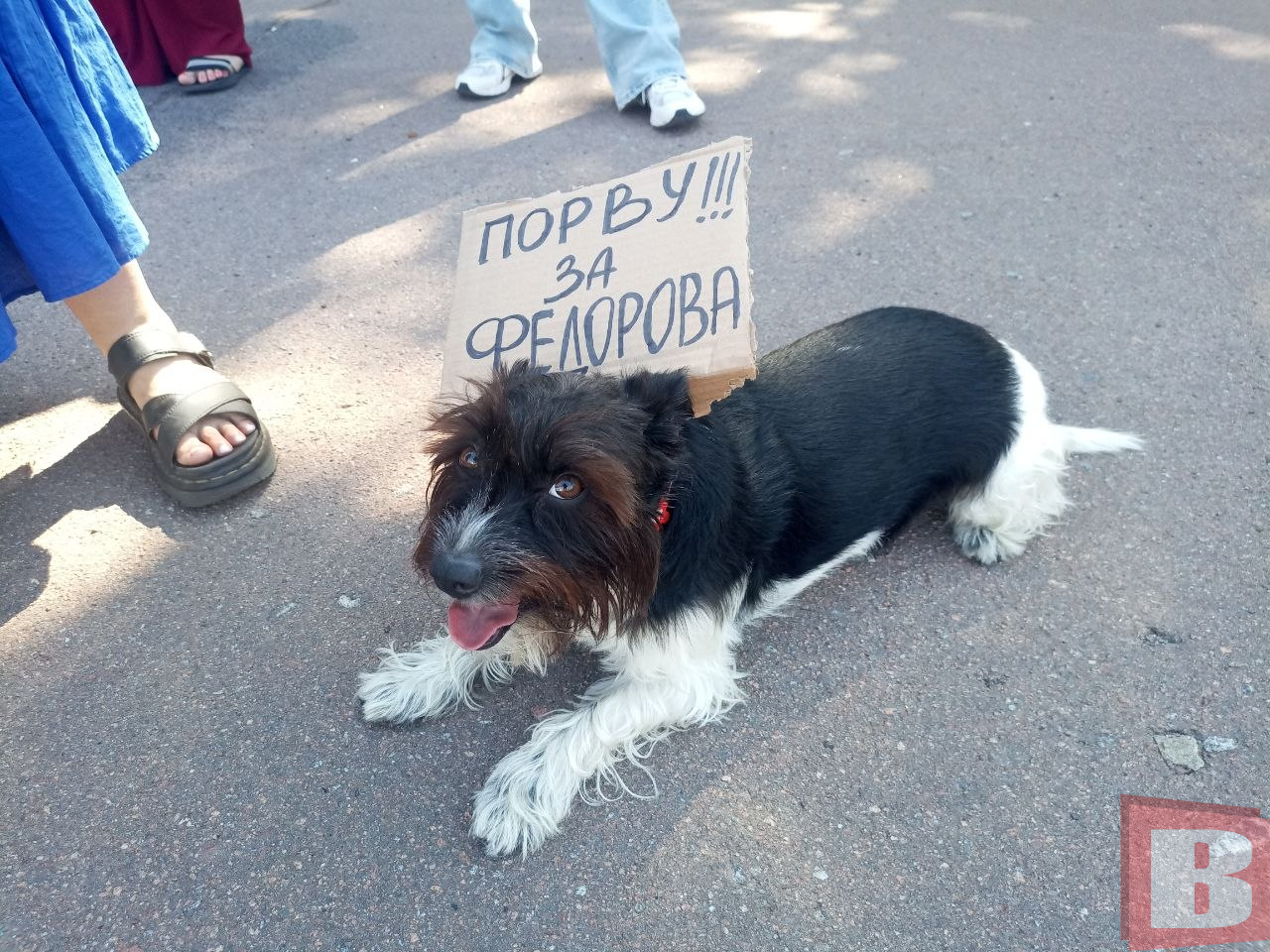 Новини Хмельницького - фото з Хмельничани влаштували акцію проти відставки міністра оборони Федорова (РЕПОРТАЖ ВСІМ)