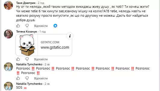 Новини Вінниці - фото з «Без жодного шансу вижити». На вокзалі в Козятині врятували кішку, яку викинули у мішку