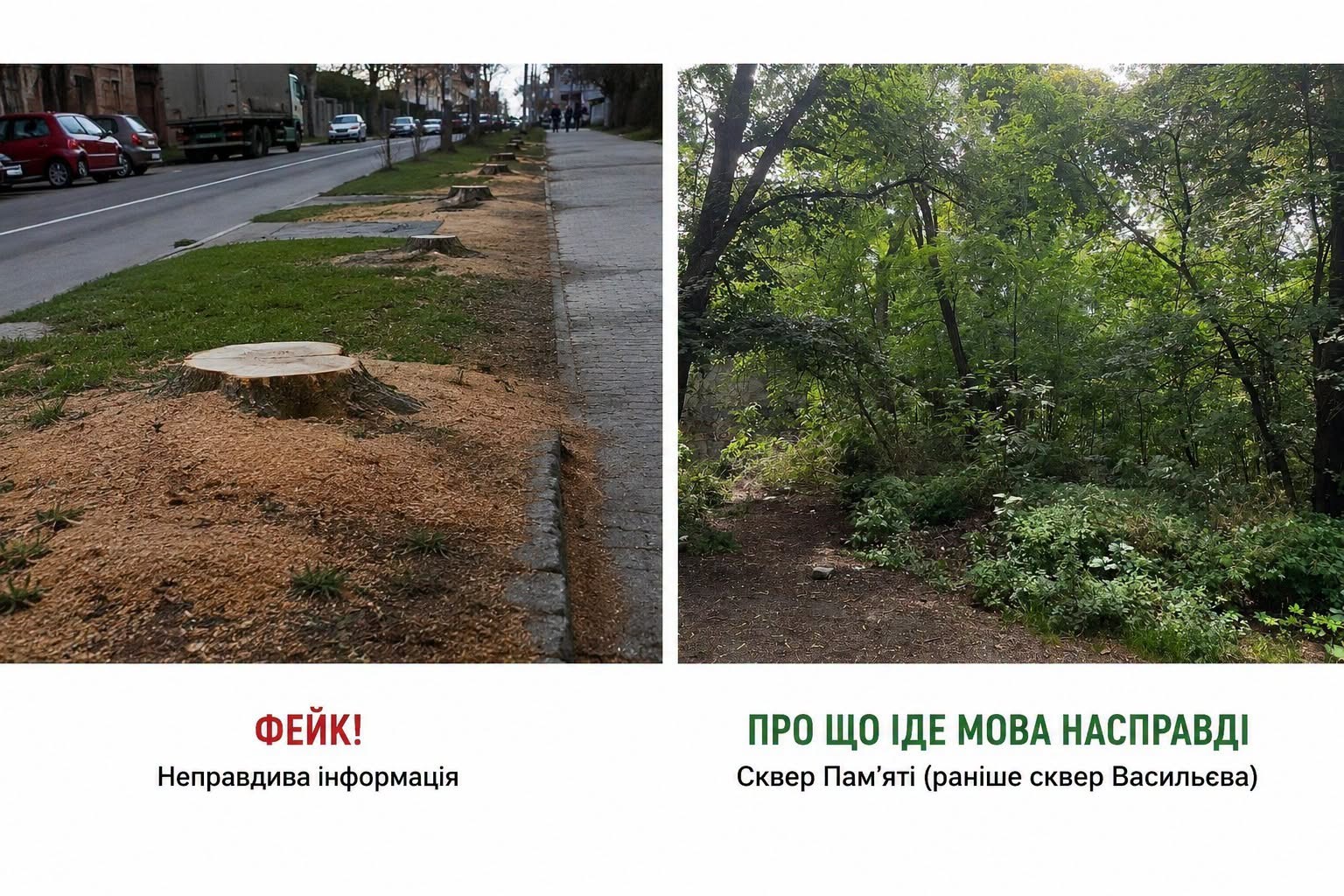 Новини Хмельницького - фото з Кам’янець-Подільська міськрада сплатить 2 млн грн за вирубку дерев у сквері Пам’яті Кам’янець-Подільська міськрада сплатить 2 млн грн за вирубку дерев у сквері Пам’яті