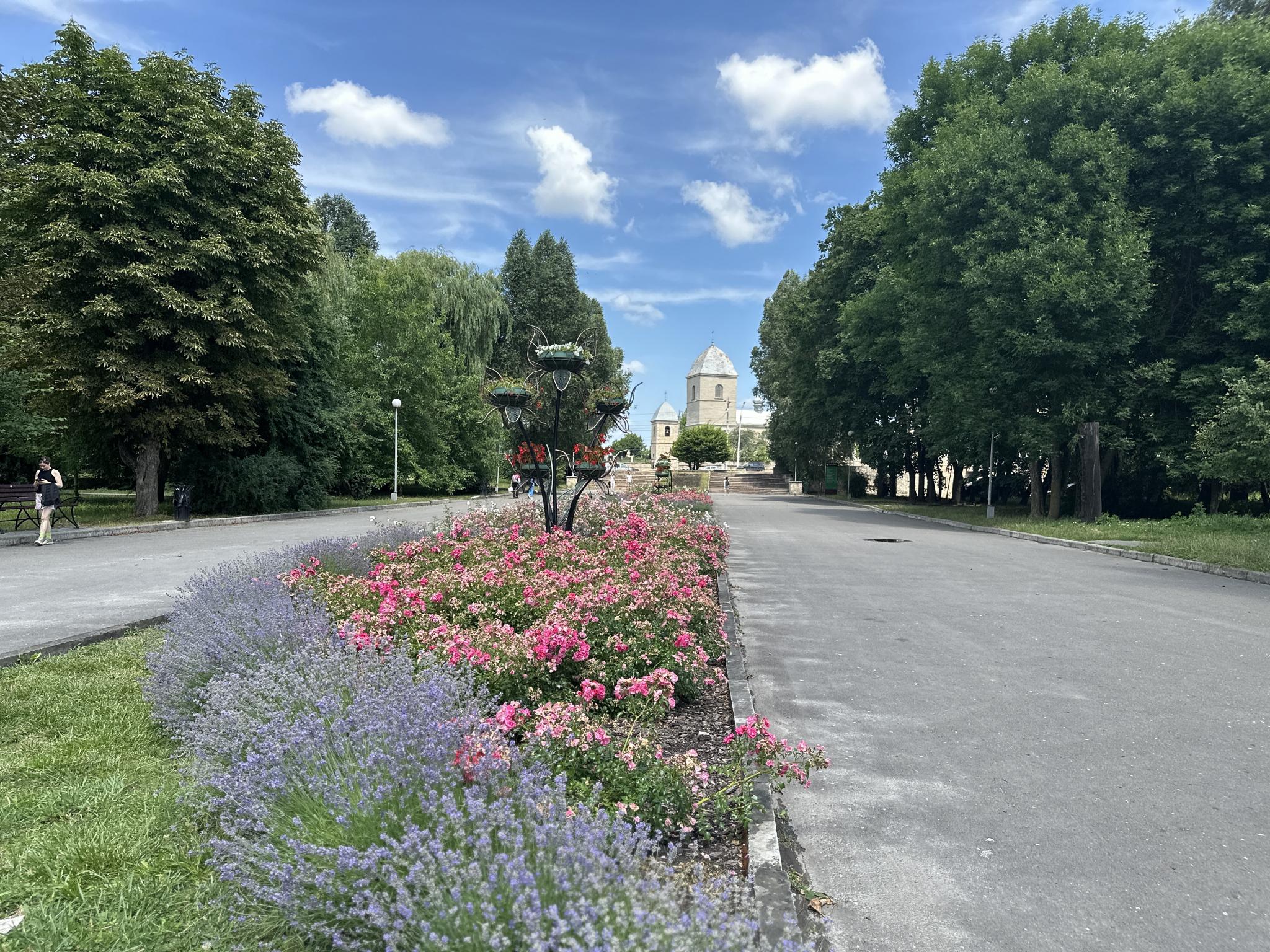 Новини Тернополя - фото з Рожеві троянди та літні квіти: який вигляд мають клумби у парку «Сопільче»