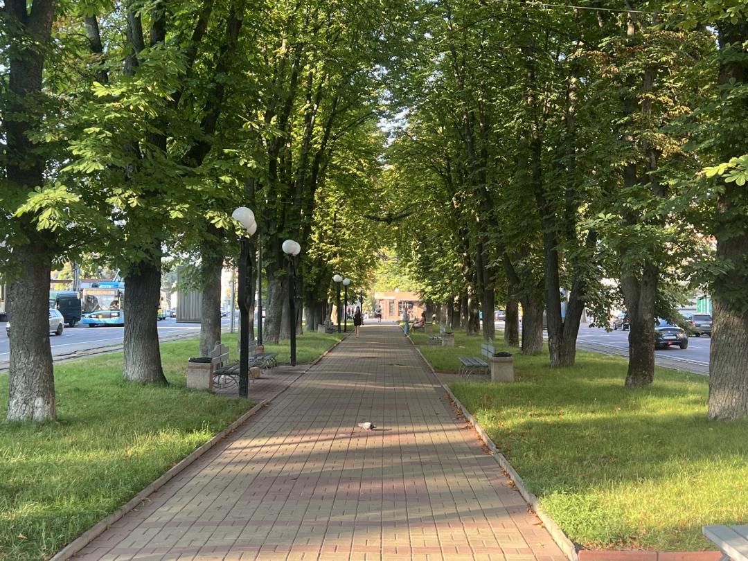 Новини Вінниці - фото з У Вінниці демонтують паркани: що прибрали та чому це роблять