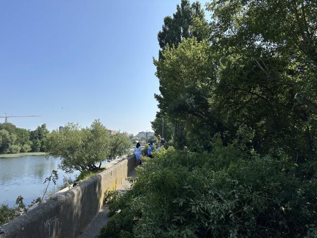 Новини Вінниці - фото з Понад пів сотні вінничан вийшли на велику толоку — приводили до ладу набережну Південного Бугу