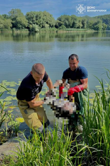Новини Вінниці - фото з Ще одна трагедія на воді: у Сабарові з Південного Бугу дістали тіло чоловіка