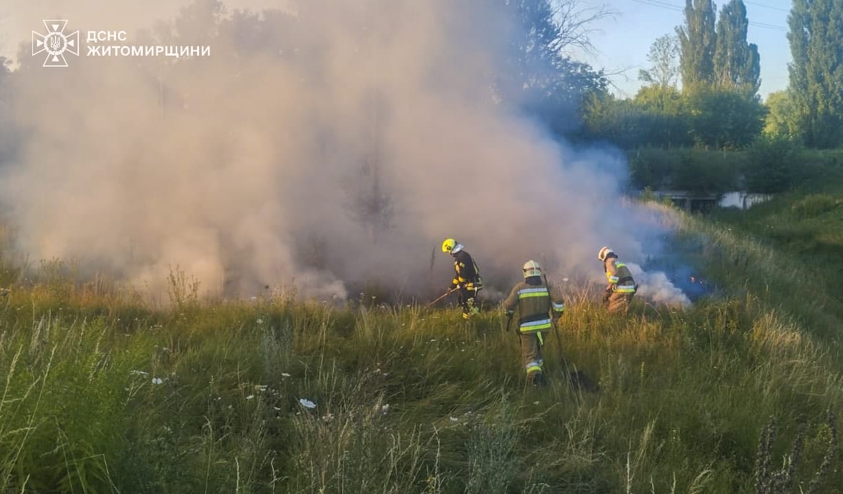 Новини Житомира - фото з Минулої доби на Житомирщині 7 разів горів сухостій, здебільшого - у Коростенському районі