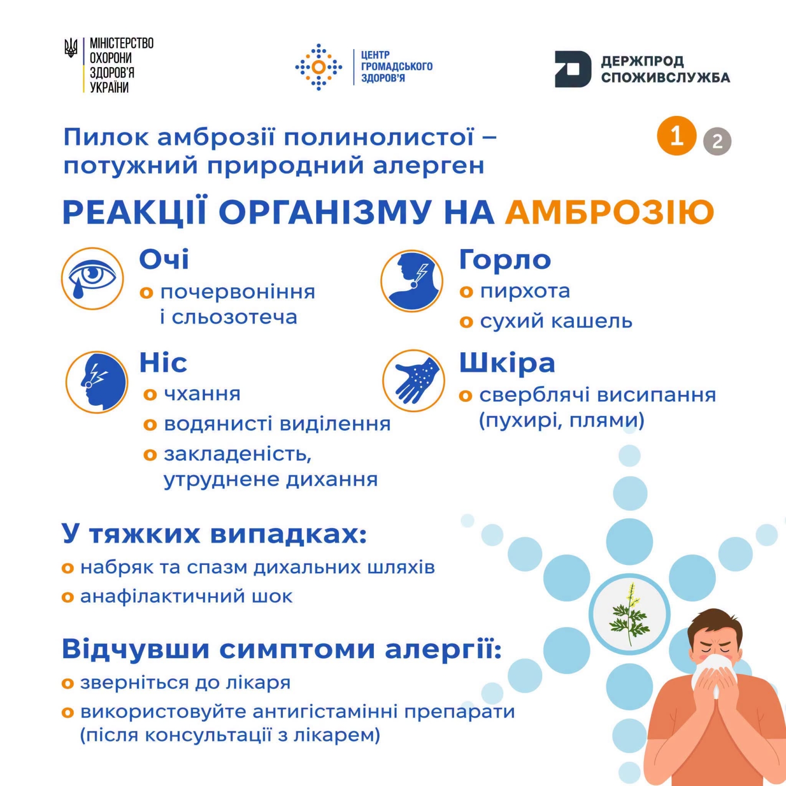 Новини Житомира - фото з Пилок амброзії полинолистої – потужний природний алерген. Реакції організму на АМБРОЗІЮ