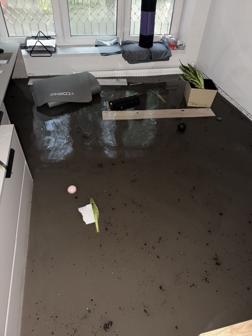 Новини Тернополя - фото з Наслідки негоди: на Коновальця, 20 відкачали воду після потопу, але підвал досі у багнюці
