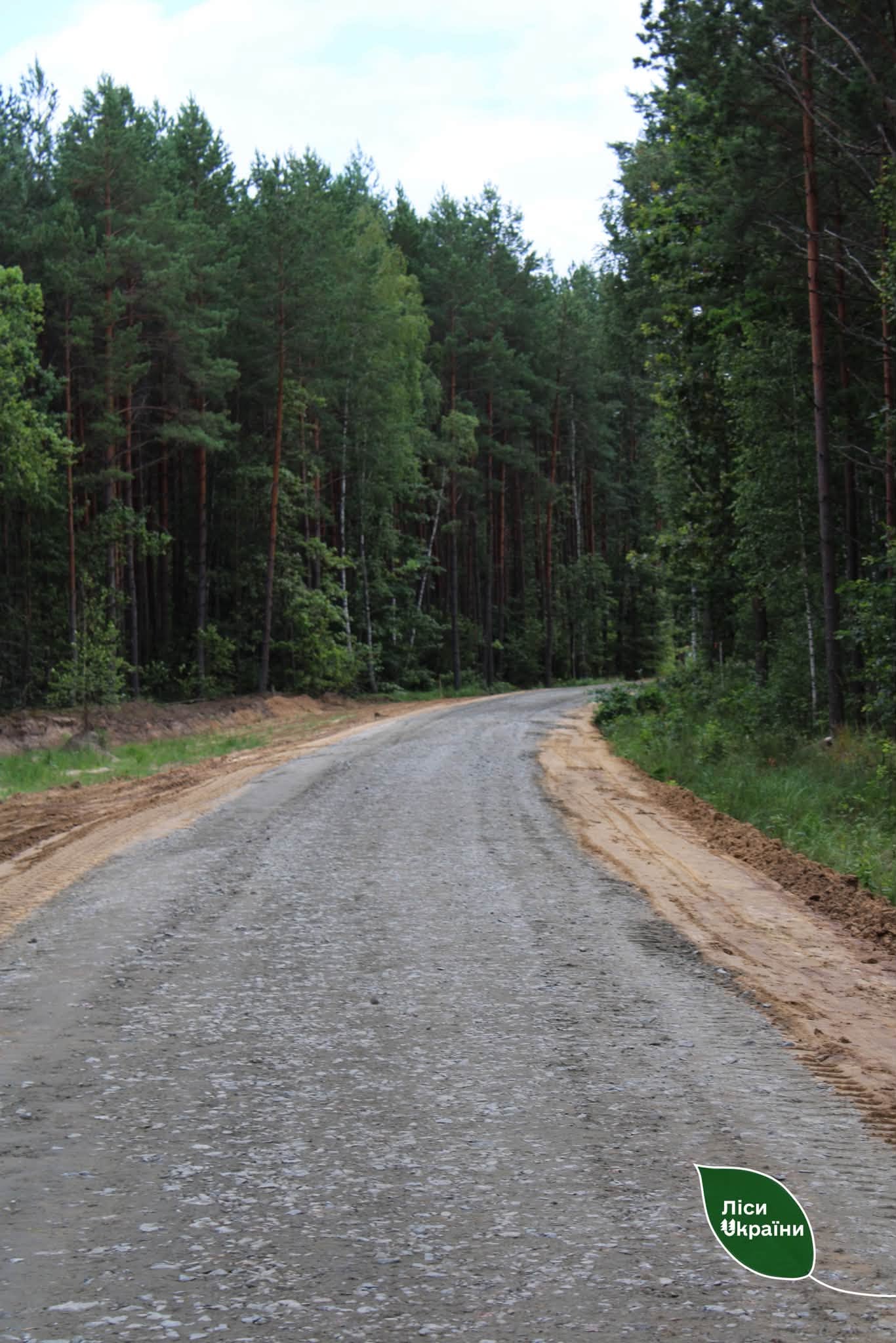 Новини Житомира - фото з У Лугинському лісництві завершили будівництво лісової дороги протяжністю 3 км
