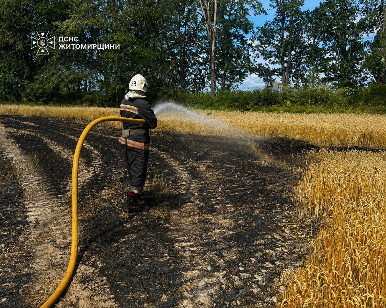 Новини Житомира - фото з Унаслідок російської атаки сьогодні на Житомирщині згоріло 2 гектари пшениці