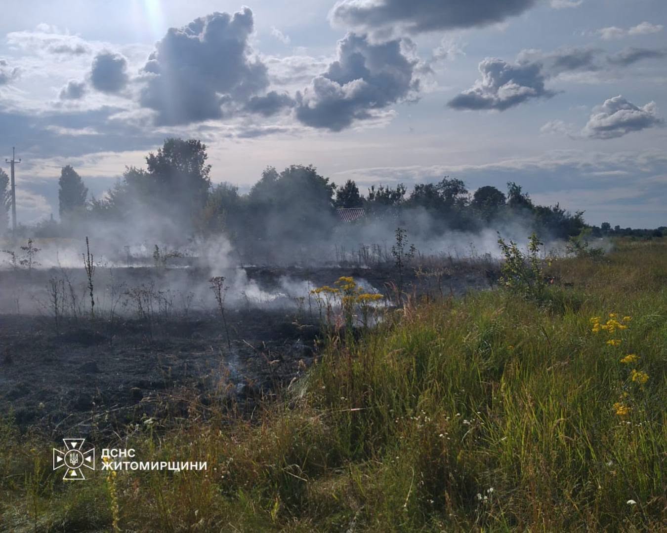 Новини Житомира - фото з Вогонь ледь не дістався пшеничного поля: за добу на Житомирщині рятувальники ліквідували шість пожеж сухостою