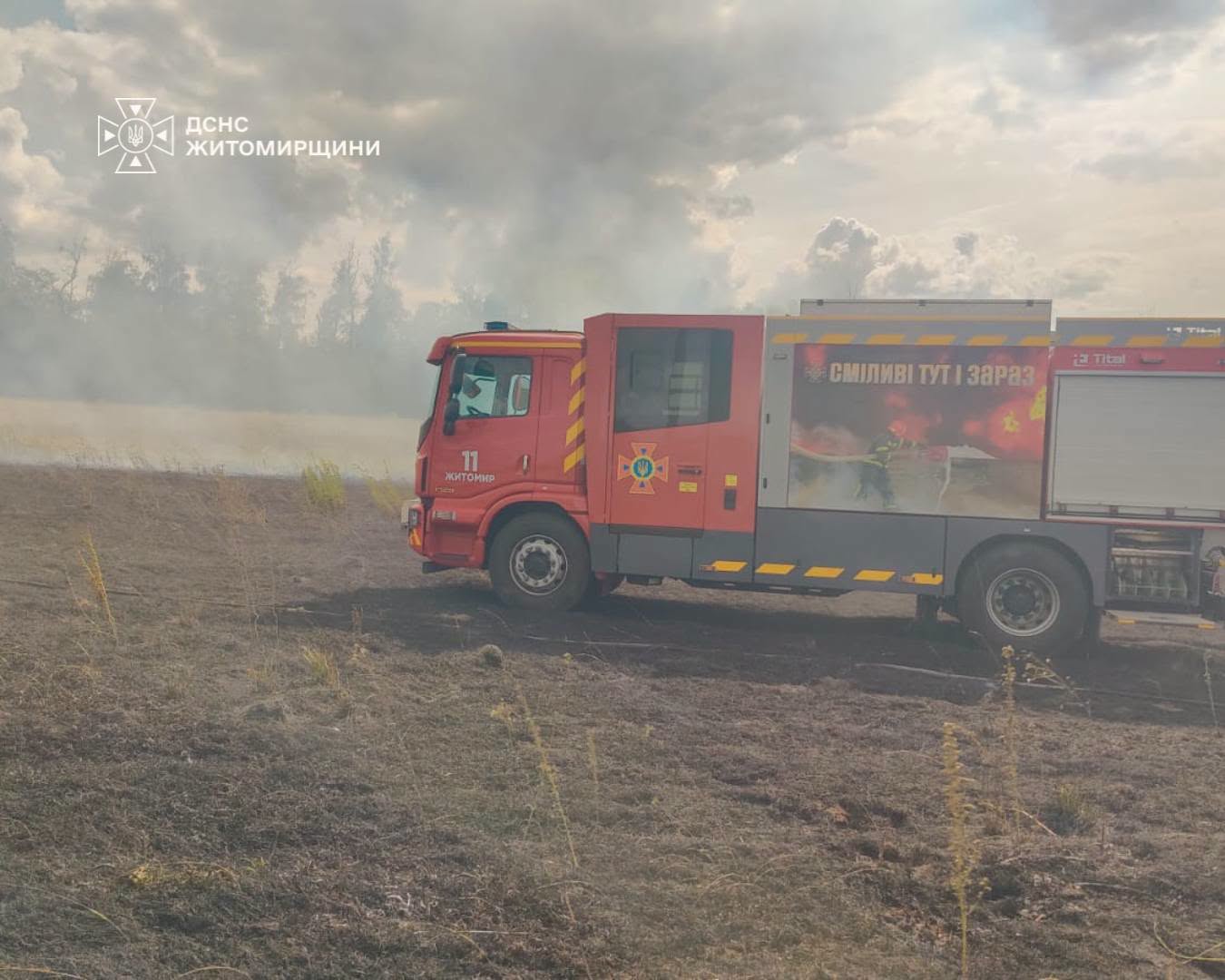 Новини Житомира - фото з Вогонь ледь не дістався пшеничного поля: за добу на Житомирщині рятувальники ліквідували шість пожеж сухостою