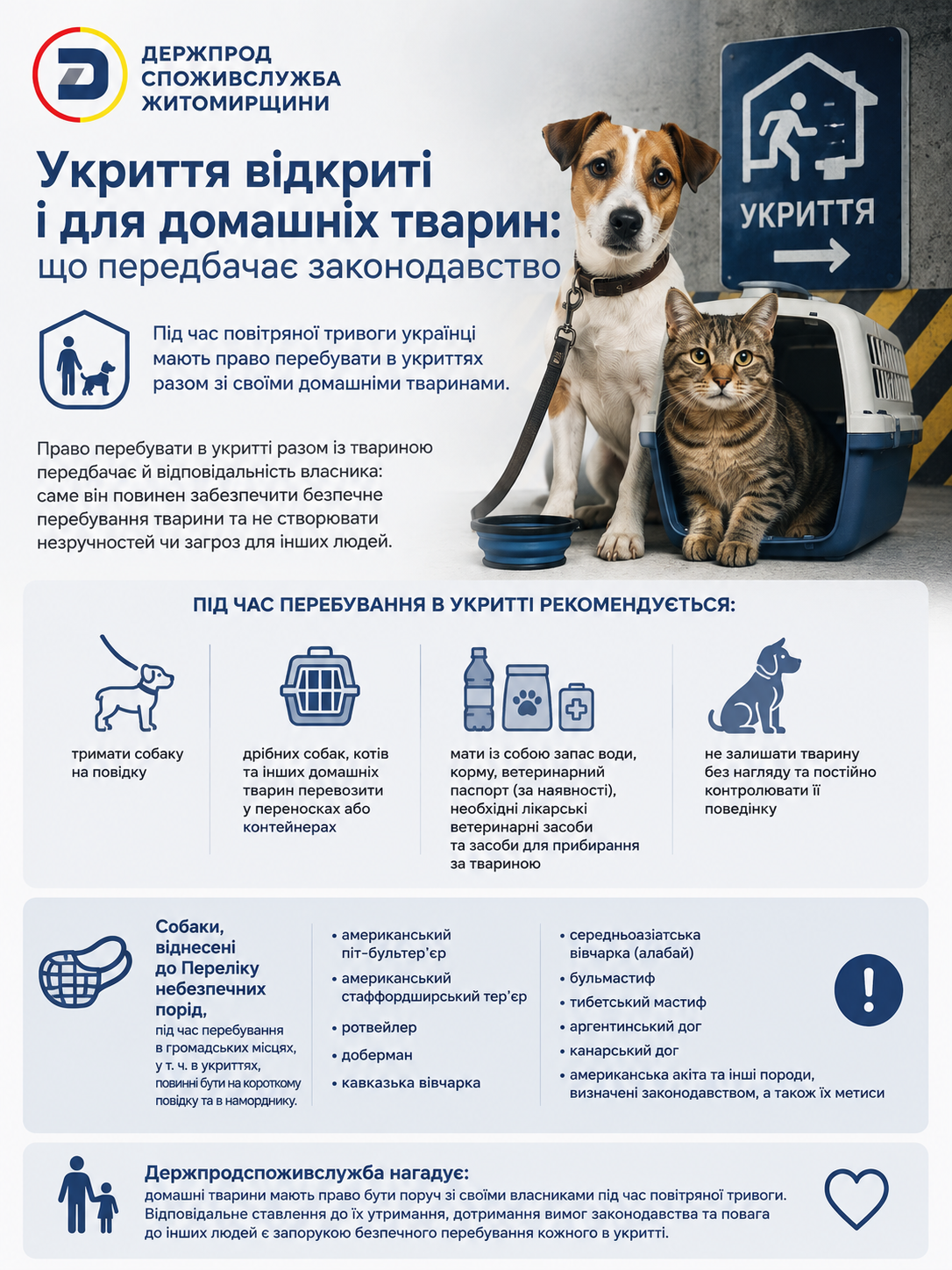 Новини Житомира - фото з Укриття відкриті і для домашніх тварин: що передбачає законодавство