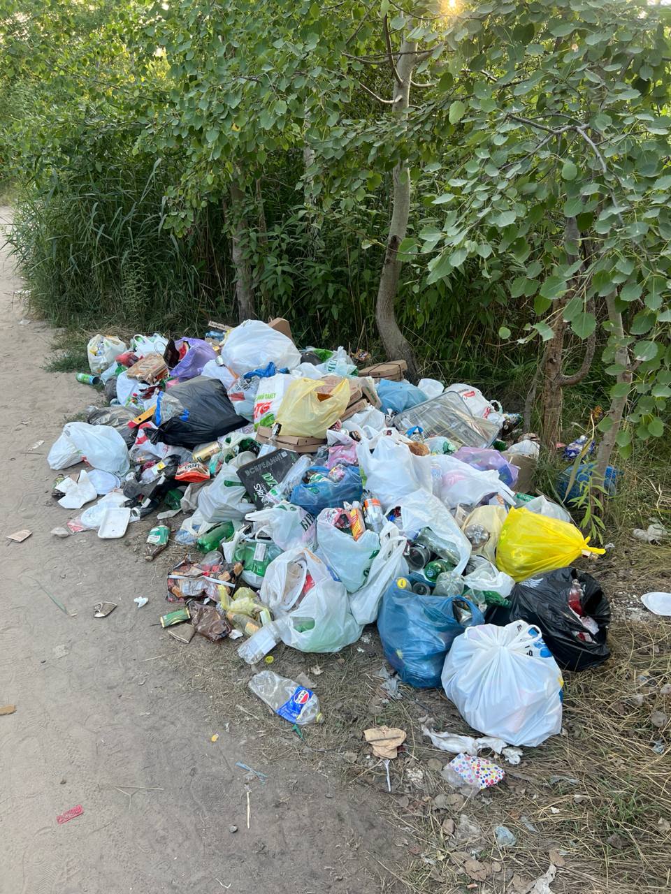 Новини Житомира - фото з Хочемо жити, як у Європі? Тоді чому перетворюємо Житомир на смітник?