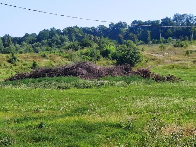 Новини Вінниці - фото з Перед входом до палацу Грохольських будують туалет. У Вороновиці люди б'ють на сполох, а влада мовчить
