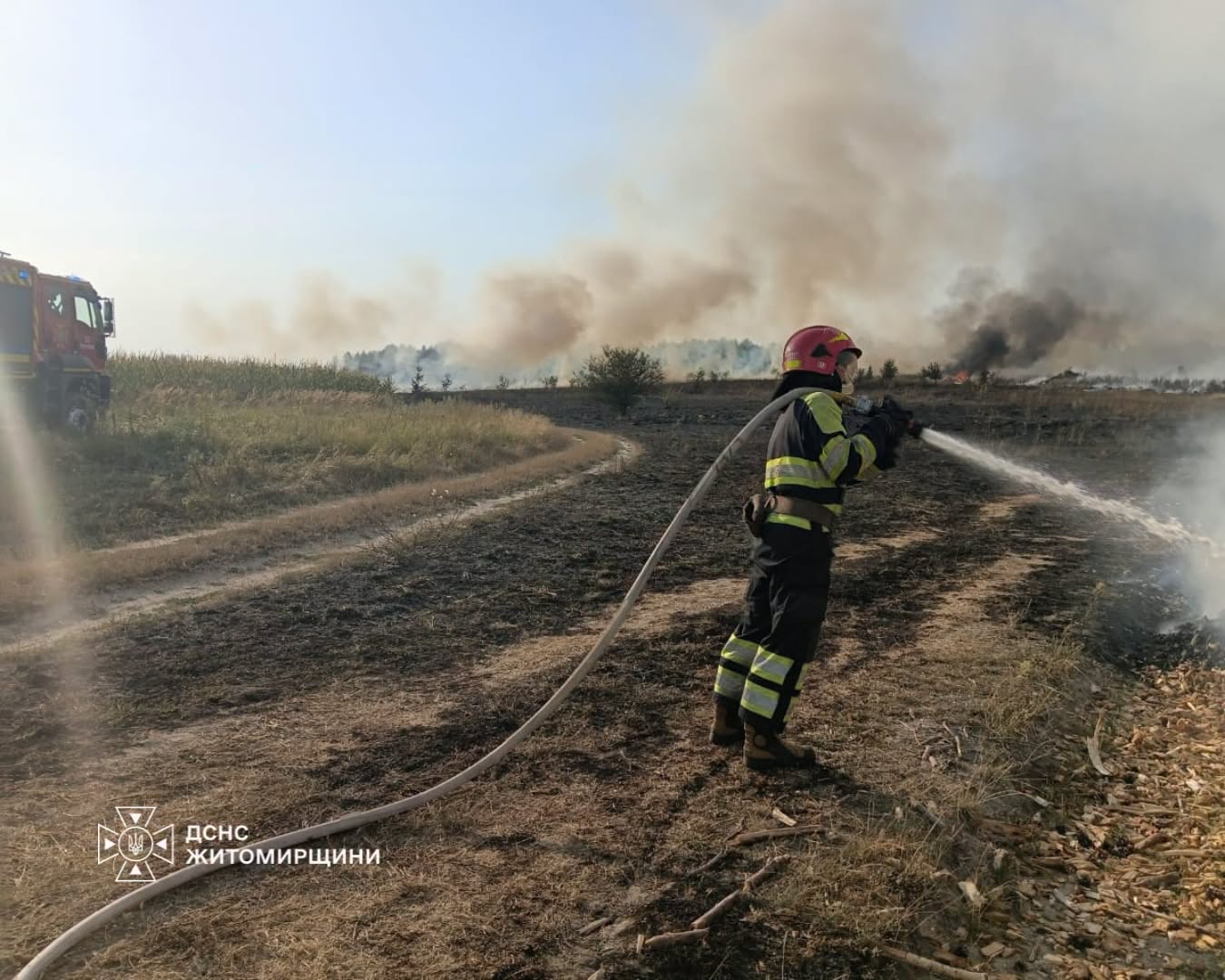 Новини Житомира - фото з На Житомирщині минулої доби виникло 11 пожеж сухої рослинності, вогнем пройдено майже 10 га території