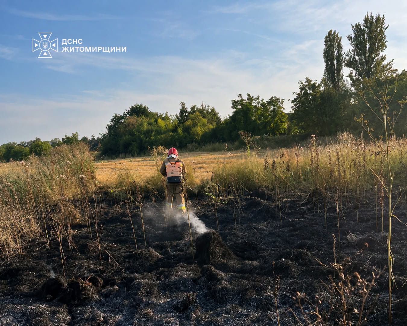 Новини Житомира - фото з На Житомирщині минулої доби виникло 11 пожеж сухої рослинності, вогнем пройдено майже 10 га території