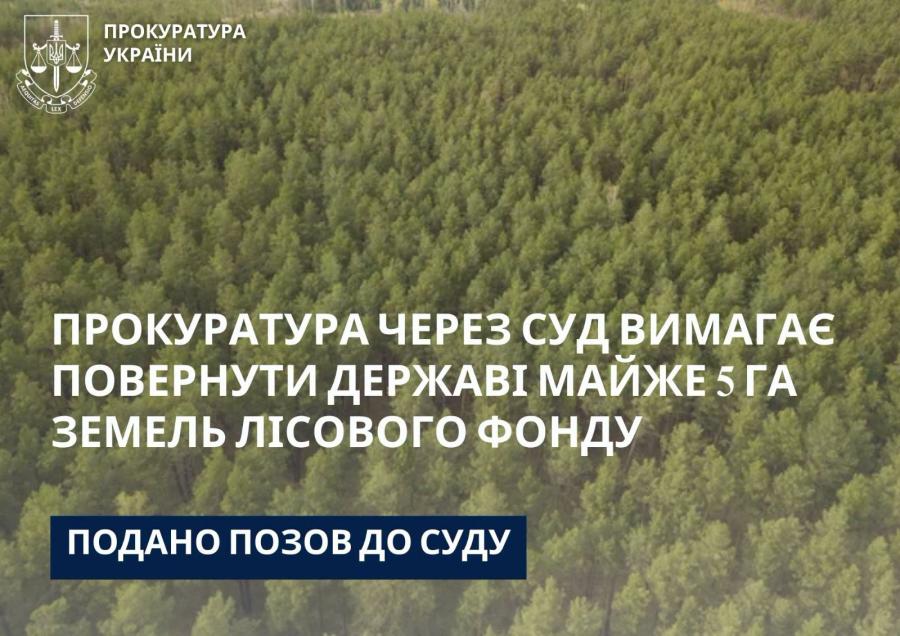 Новини Тернополя - фото з Земельний спір на Бучаччині: прокуратура вимагає повернути майже 5 га лісу