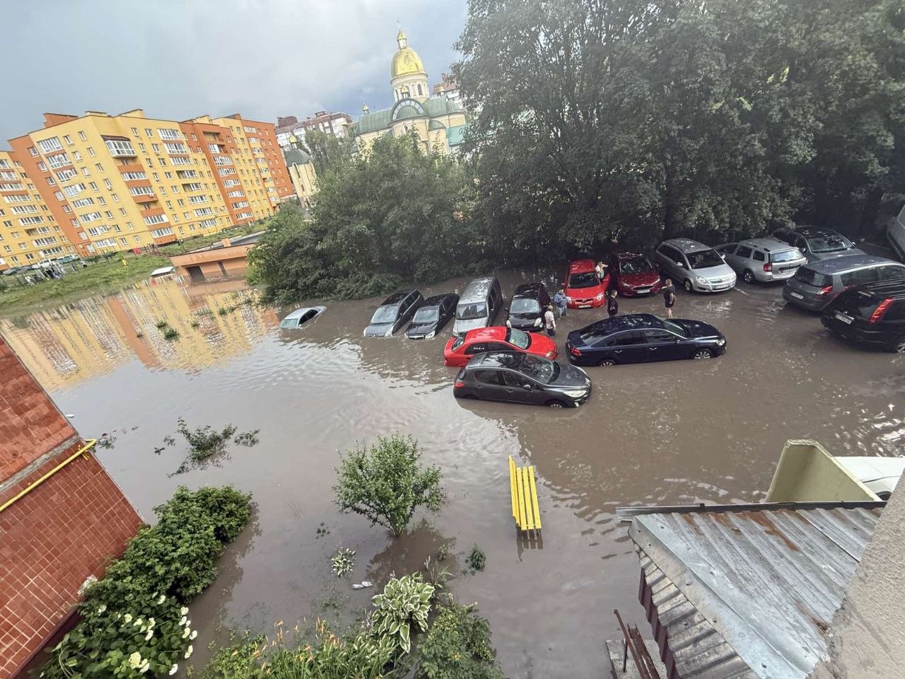 Новини Тернополя - фото з Після потопу квартири на Коновальця, 20 сирі та цвітуть. Мешканці можуть розраховувати на допомопогу?