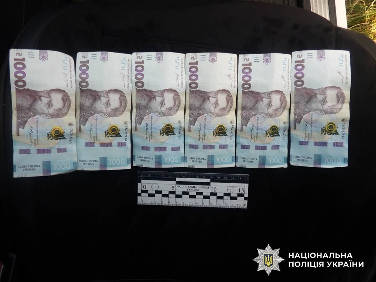 Новини Житомира - фото з На Звягельщині керманичі комбайна і мотоцикла намагалися дати хабаря поліцейським для уникнення відповідальності за порушення ПДР