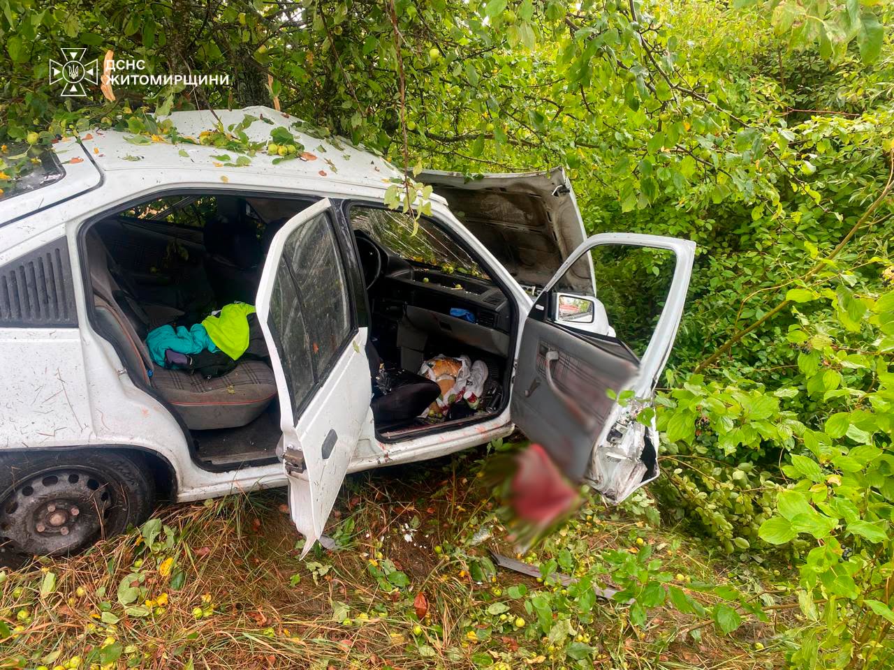 Новини Житомира - фото з ДТП біля Туровця: рятувальники деблокували тіло загиблої водійки