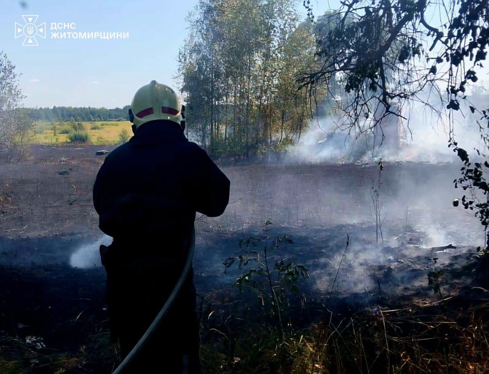 Новини Житомира - фото з Під час пожежі сухої рослинності на Коростенщині опіки отримав 80-річний чоловік