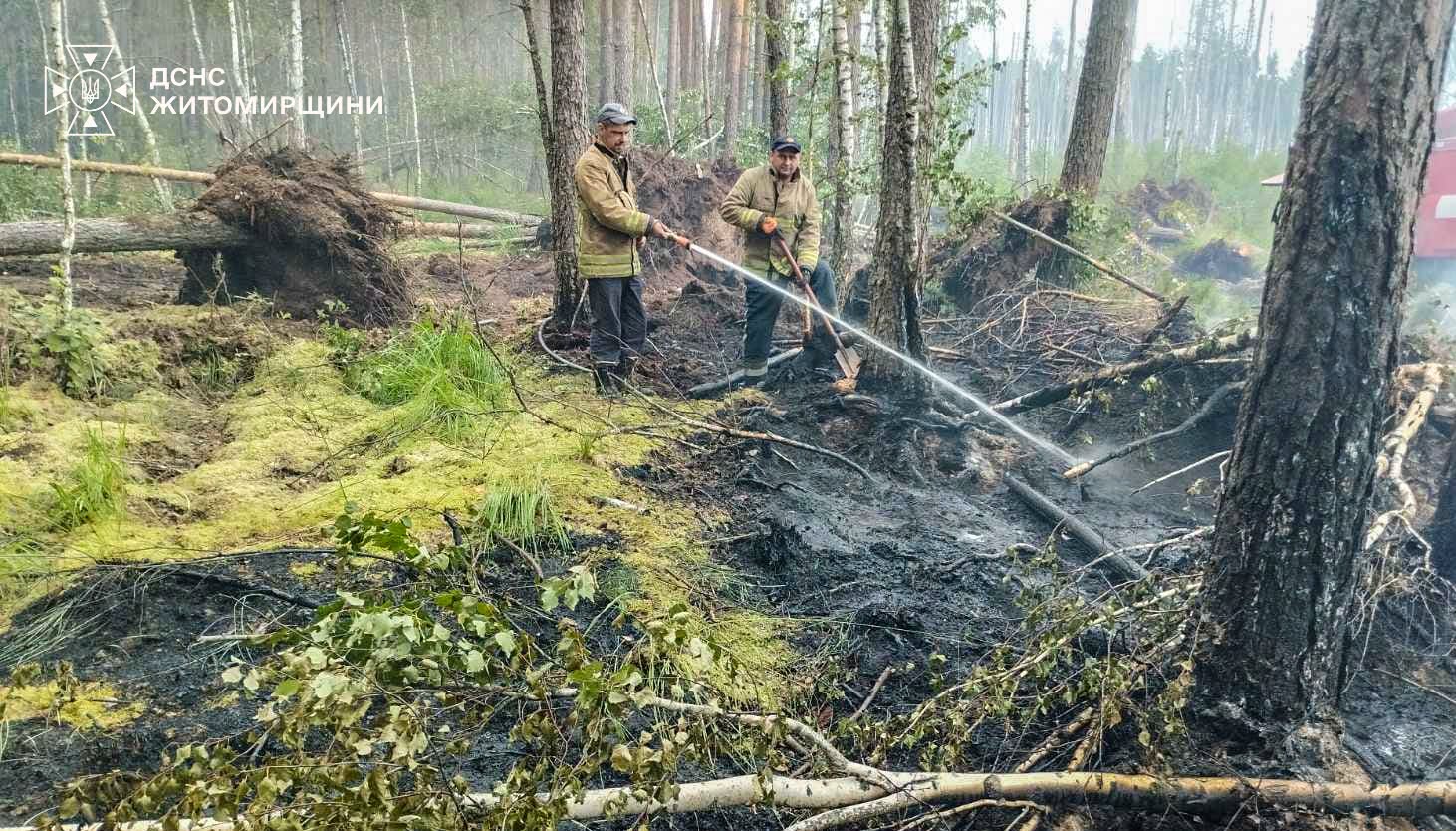 Новини Житомира - фото з Рятувальники і лісівники ліквідовують лісову пожежу, що виникла вчора ввечері у Коростенському районі