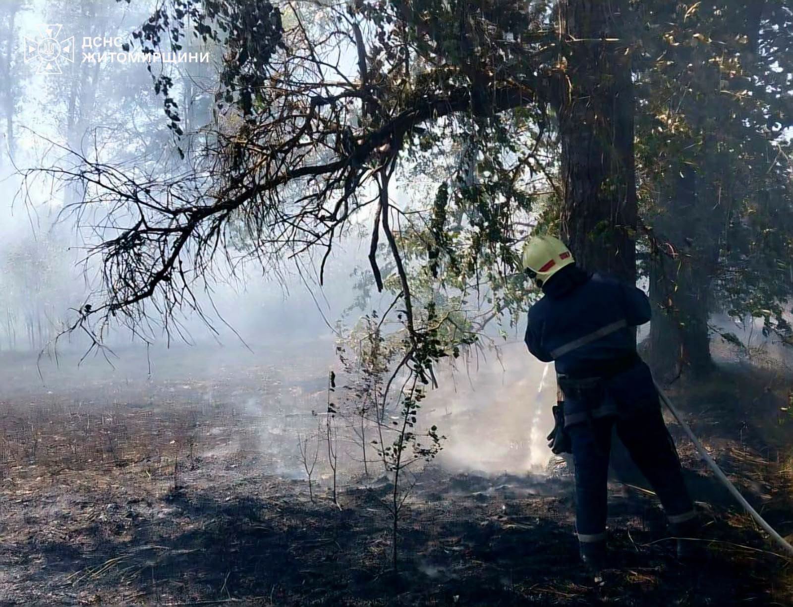 Новини Житомира - фото з Під час пожежі сухої рослинності на Коростенщині опіки отримав 80-річний чоловік