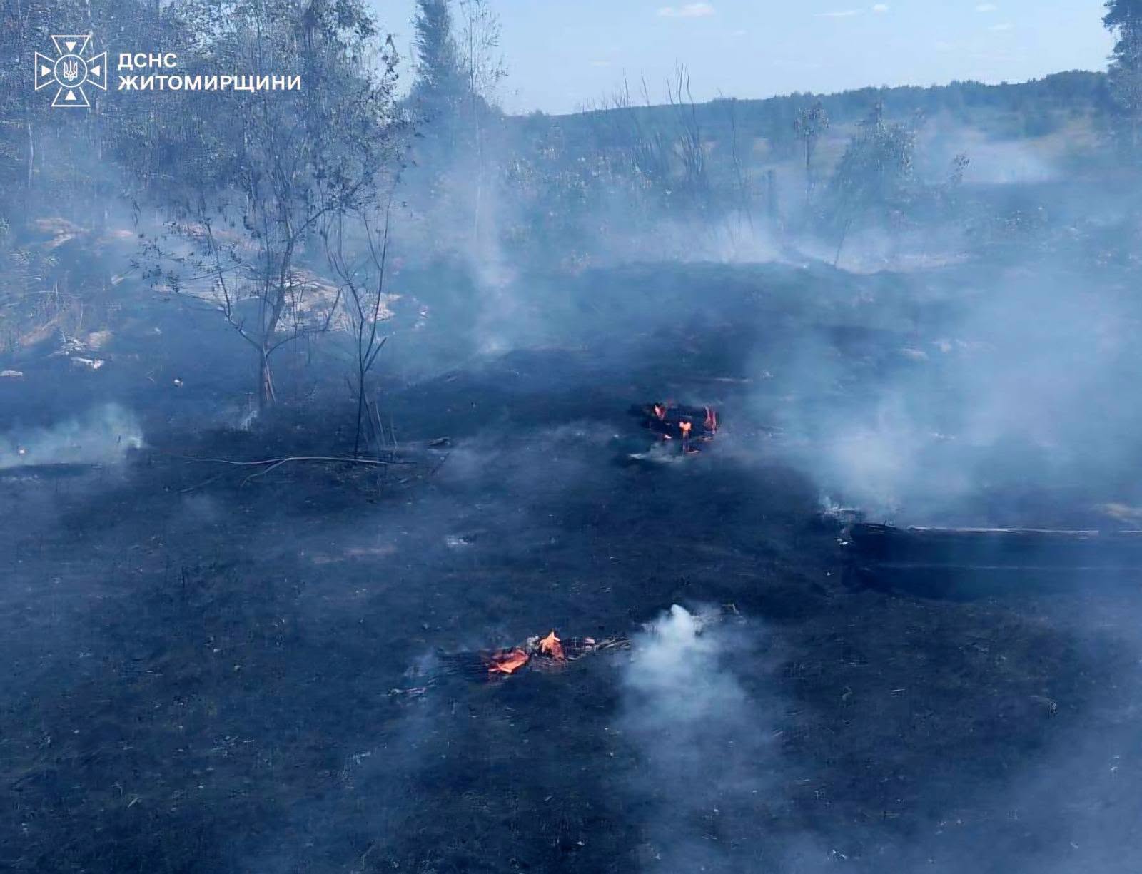 Новини Житомира - фото з Під час пожежі сухої рослинності на Коростенщині опіки отримав 80-річний чоловік