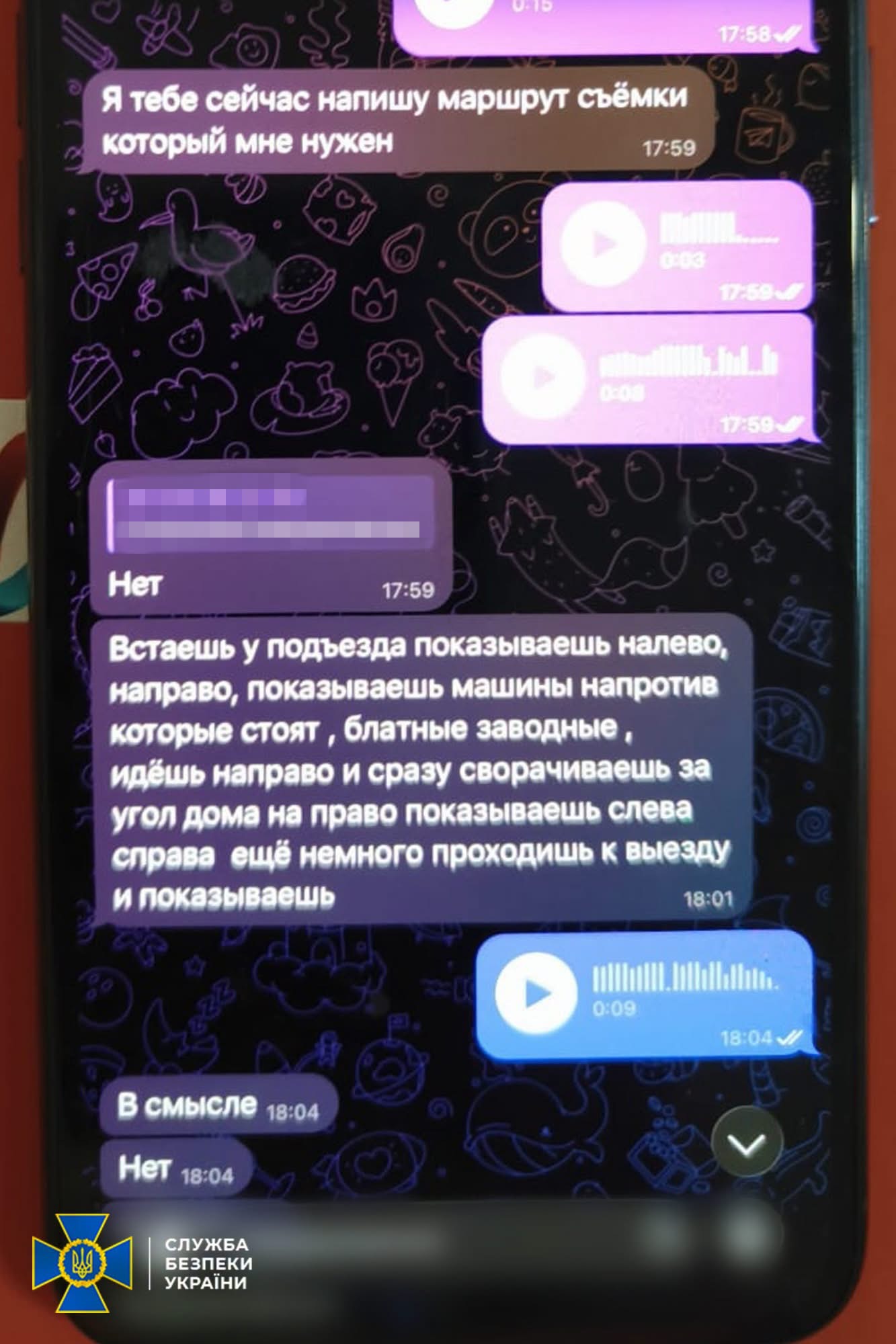 Новини Житомира - фото з 27-річна мешканка Житомирщини готувала серію терактів біля адмінбудівель в Одеській області