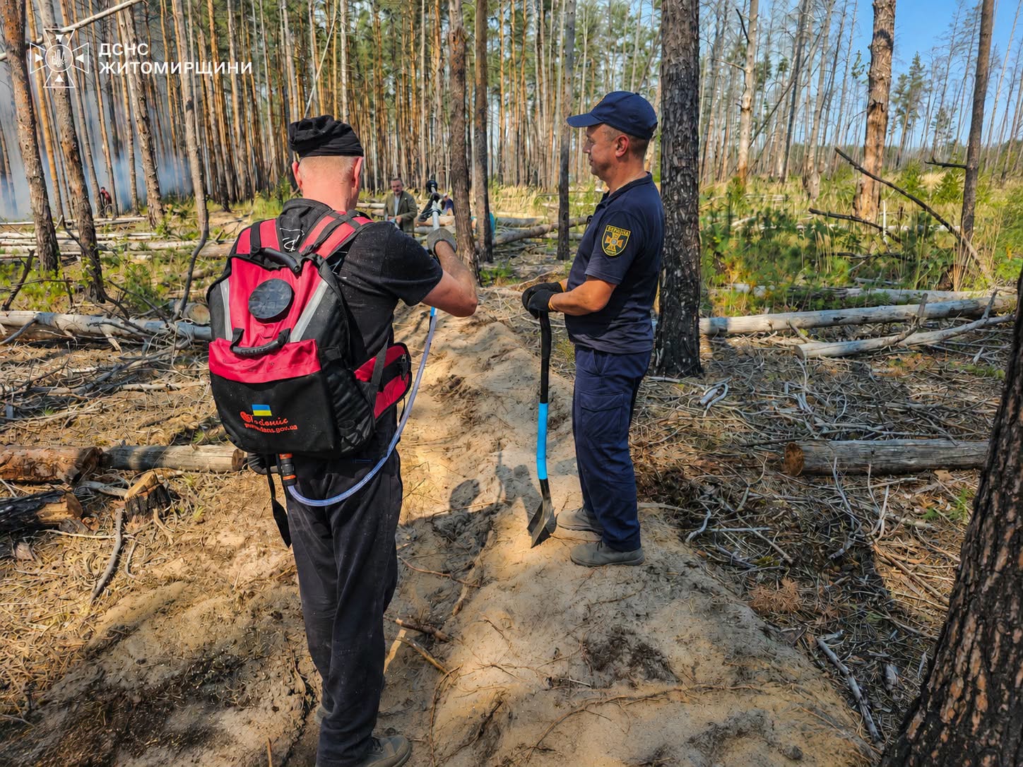 Новини Житомира - фото з Рятувальники та лісівники продовжують гасити низову лісову пожежу в природному заповіднику «Древлянський» на Коростенщині
