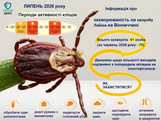Новини Вінниці - фото з На Вінниччині зросла кількість інфікованих через укуси кліщів