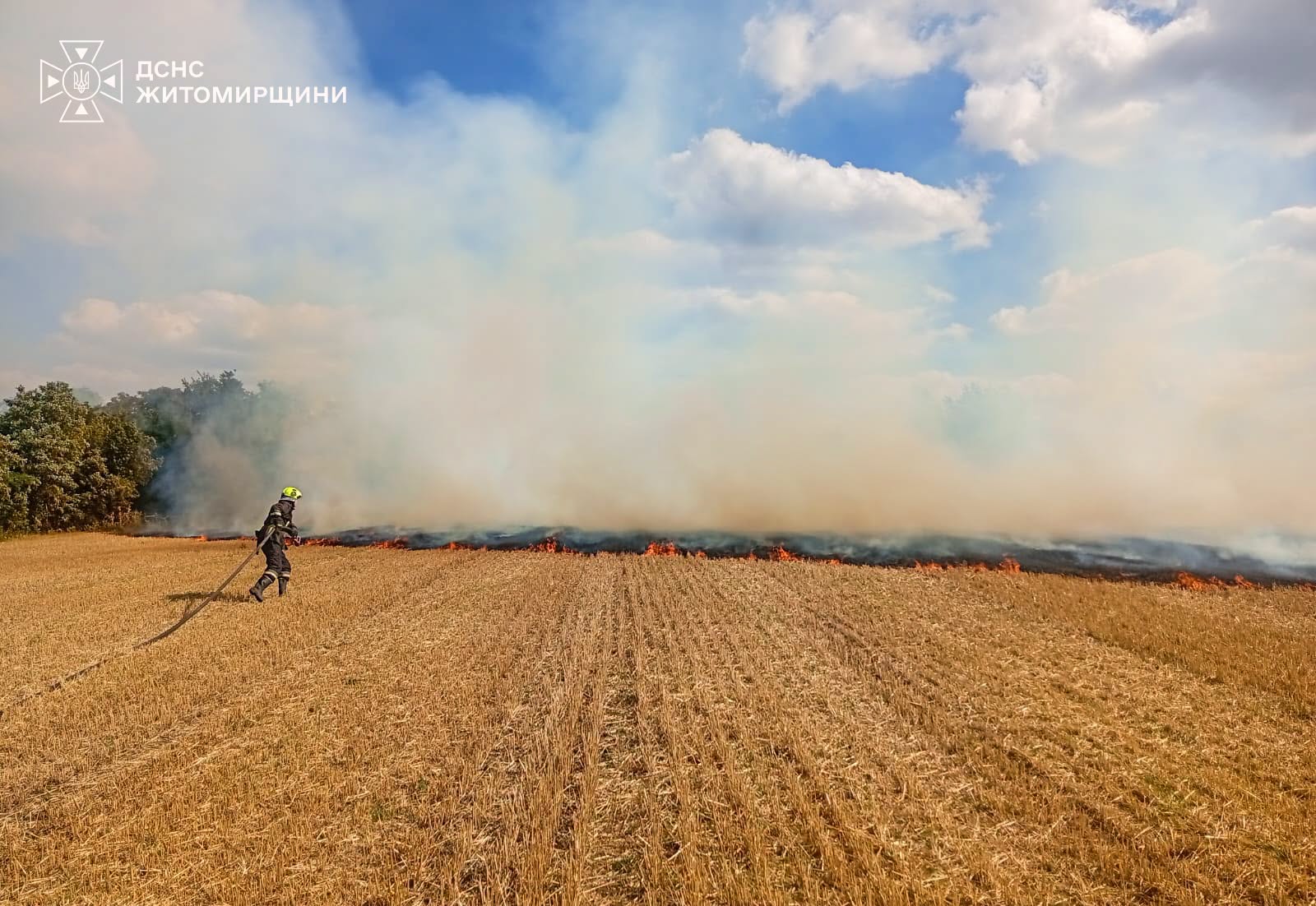 Новини Житомира - фото з Упродовж минулої доби рятувальники ліквідували 16 пожеж на відкритих територіях: під час самостійного гасіння травмувалася жінка