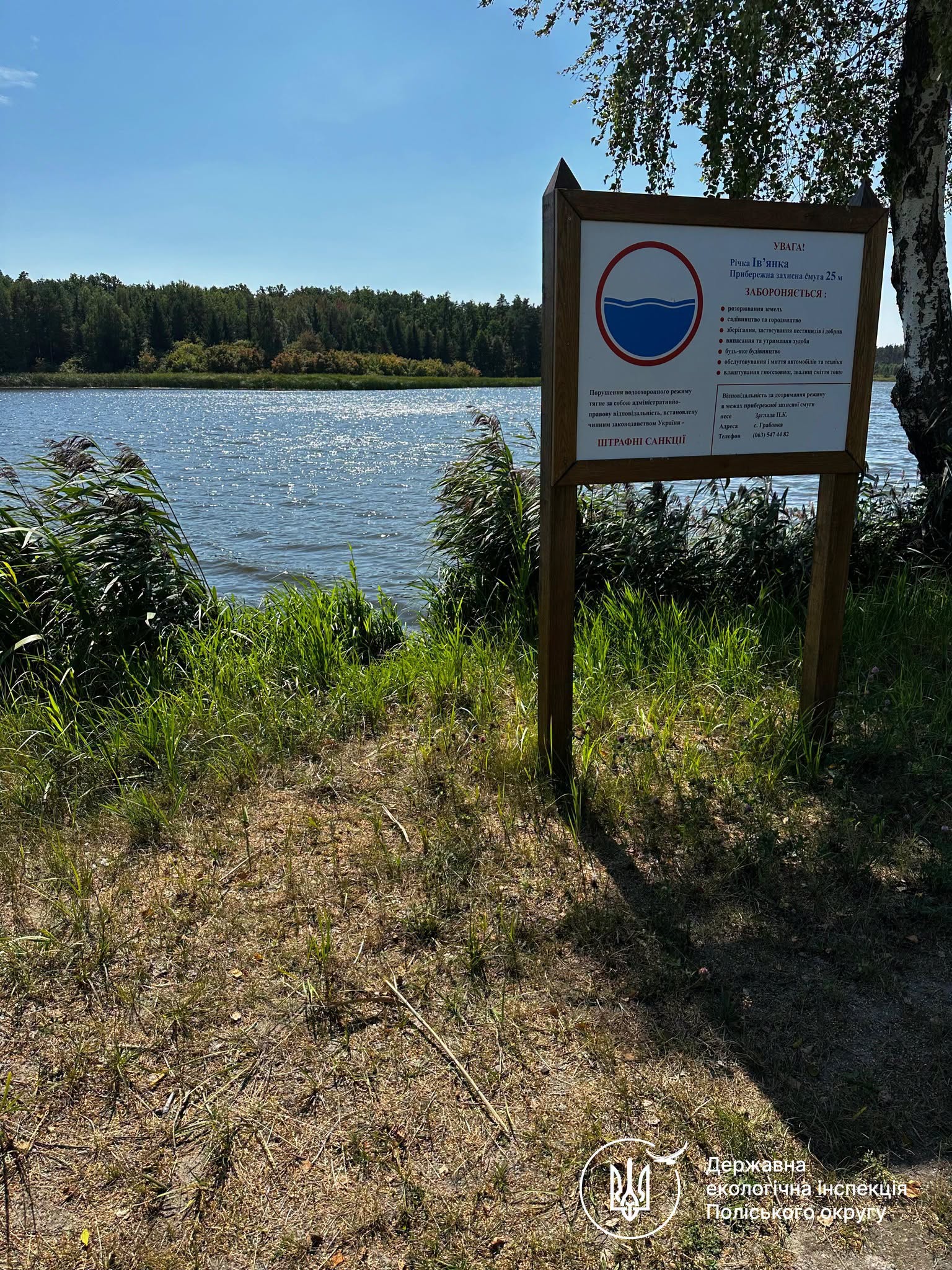 Новини Житомира - фото з Інспектори Держекоінспекції допомогли черепасі, яка опинилася посеред дороги