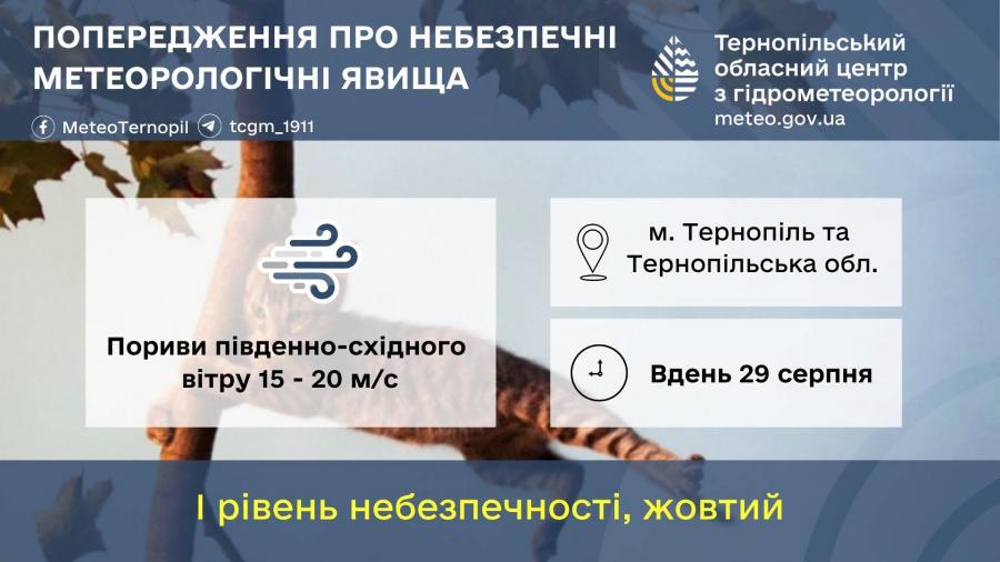 На Тернопільщині оголосили штормове попередження через сильний вітер