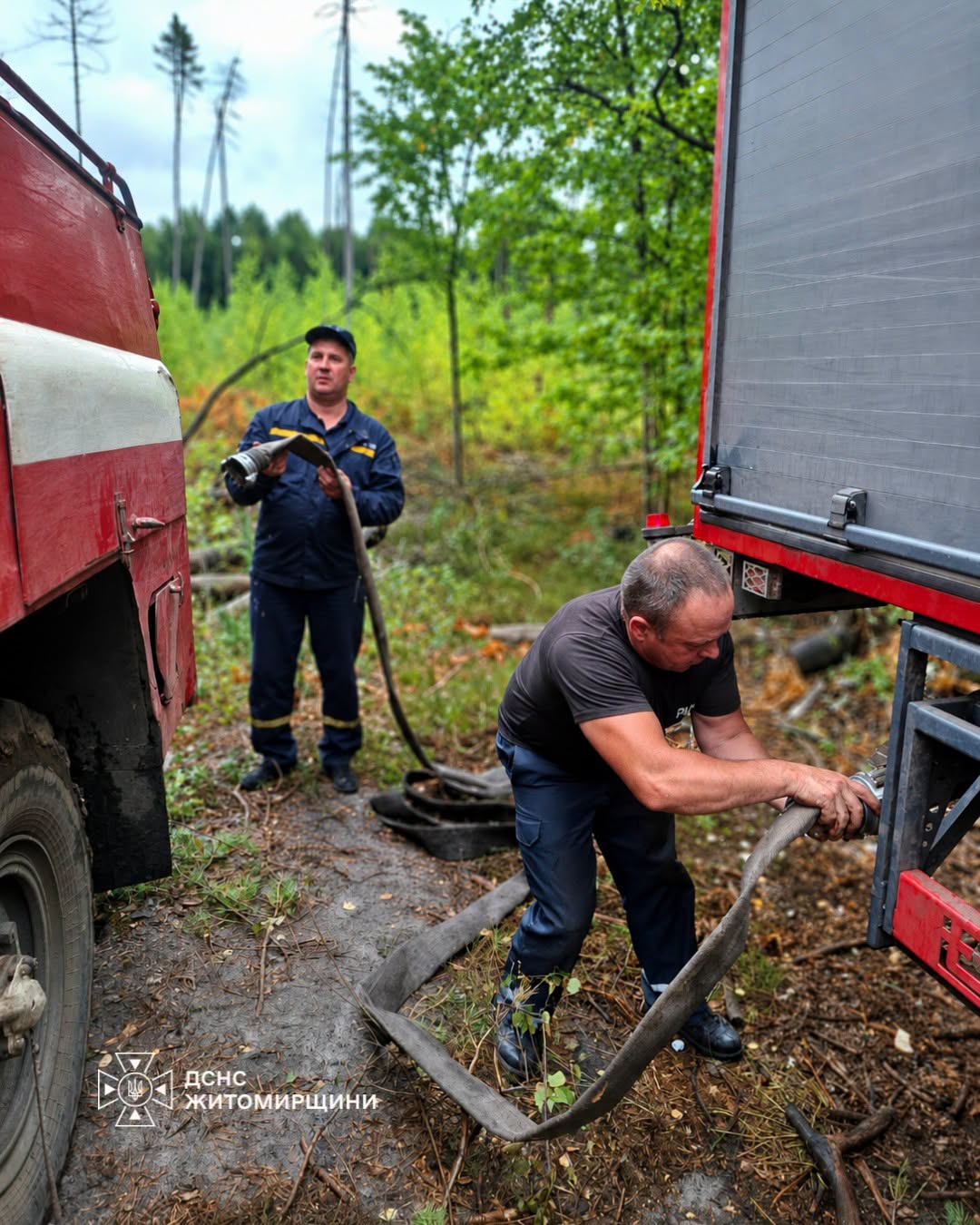 Новини Житомира - фото з Вогнеборці ліквідували низову лісову пожежу в природному заповіднику «Древлянський» на Коростенщині