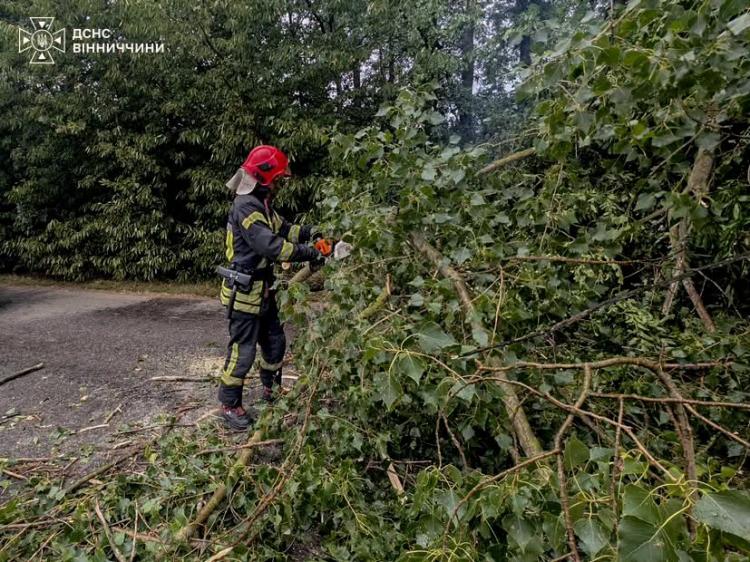 Новини Вінниці - фото з Вітер валив дерева на дороги. Як рятувальники розчищали автошляхи на Вінниччині