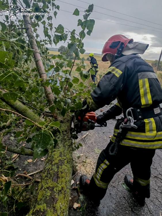 Новини Вінниці - фото з Вітер валив дерева на дороги. Як рятувальники розчищали автошляхи на Вінниччині
